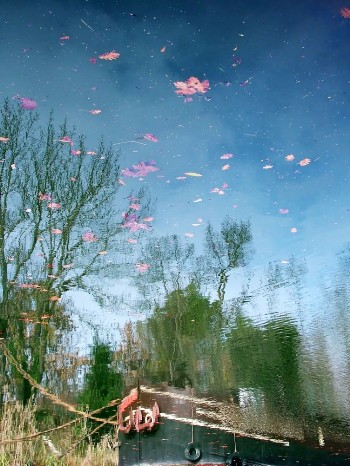 galerie Mikaëla Lagarde